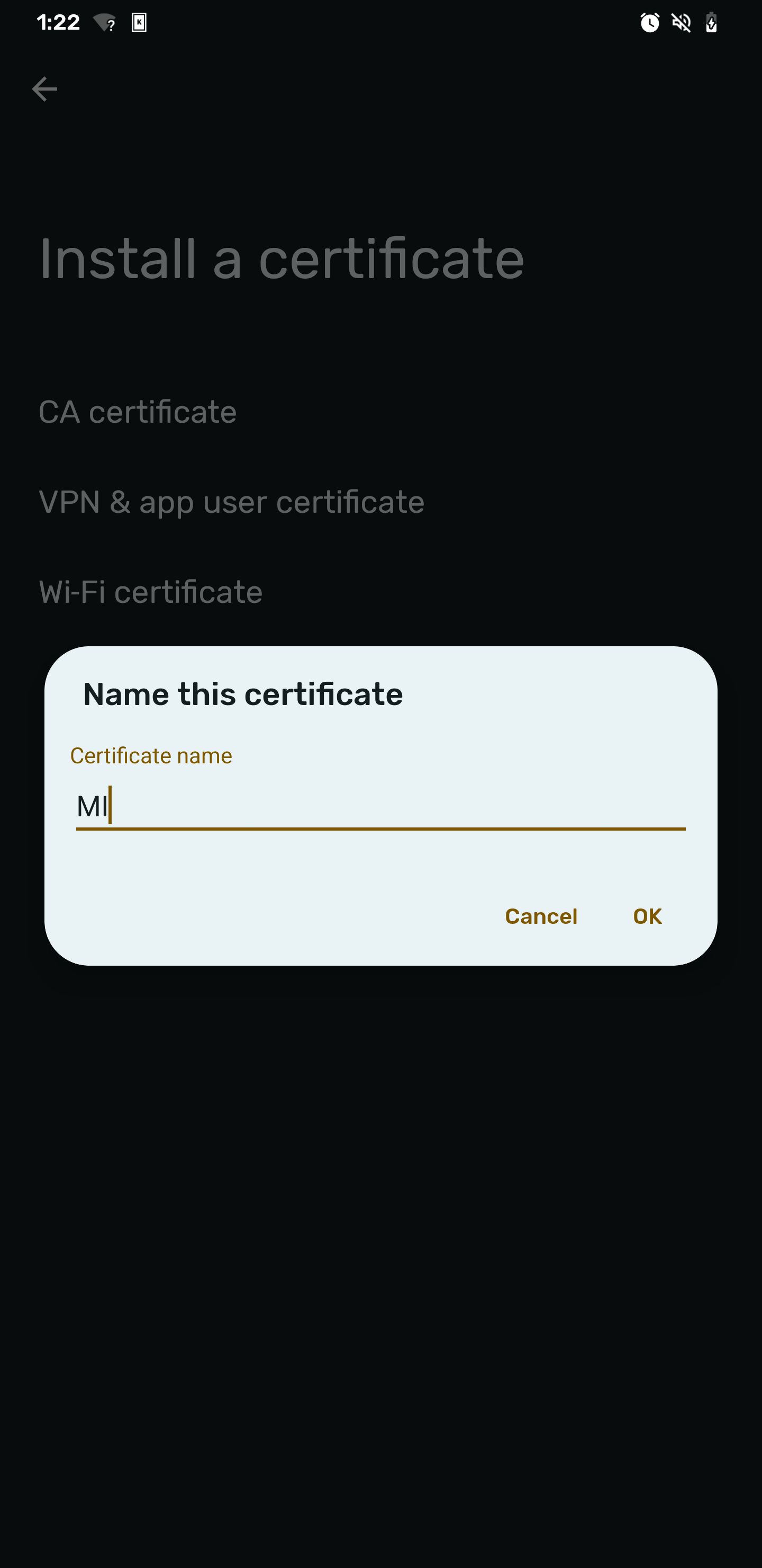 Screenshot of the dialog „Name this certificate“