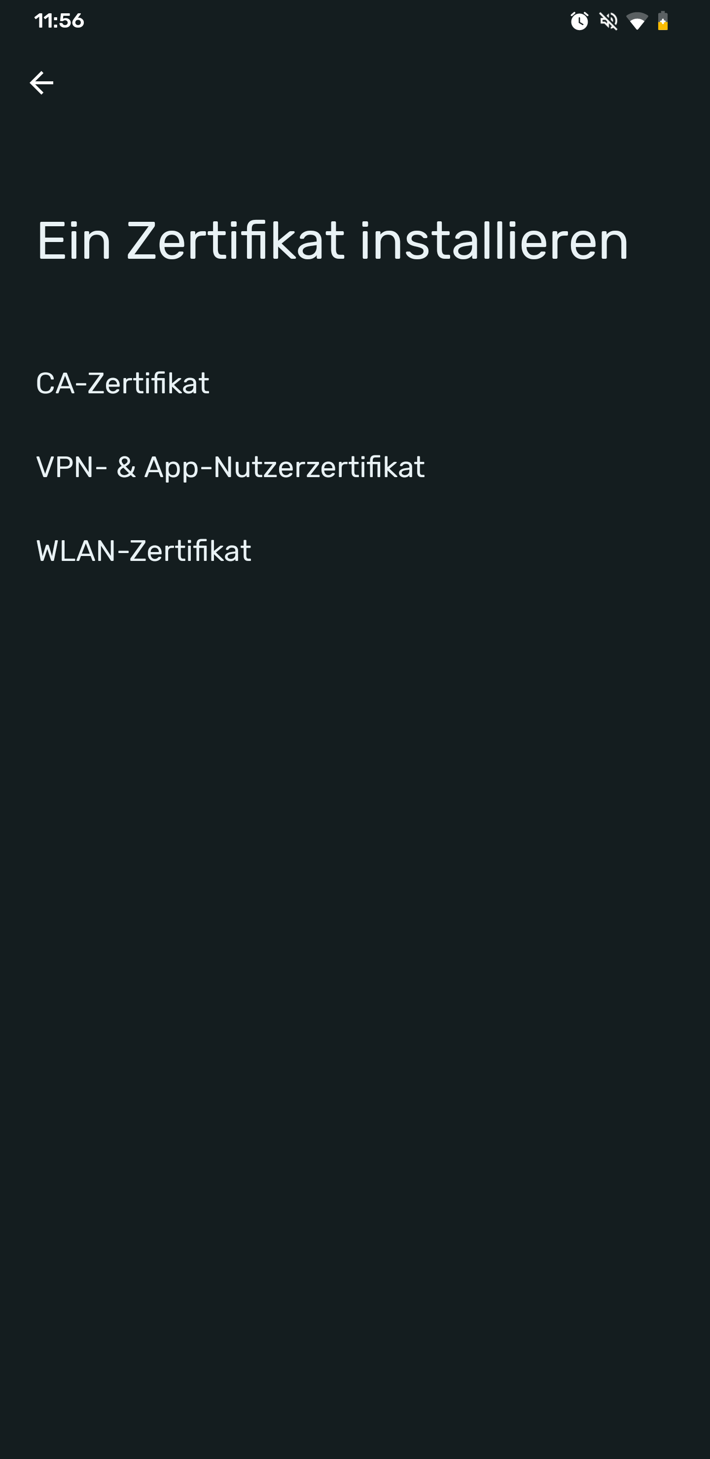 Screenshot des Menüs „Ein Zertifikat installieren“